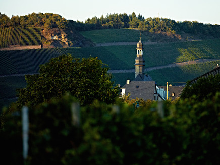 Brauneberg in der Dämmerung